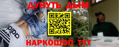 гидра Бердск