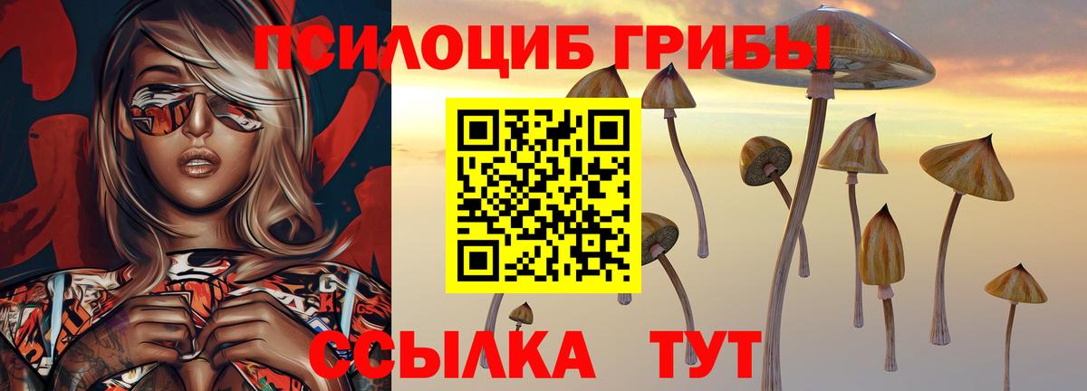 Псилоцибиновые грибы мухоморы Краснодар