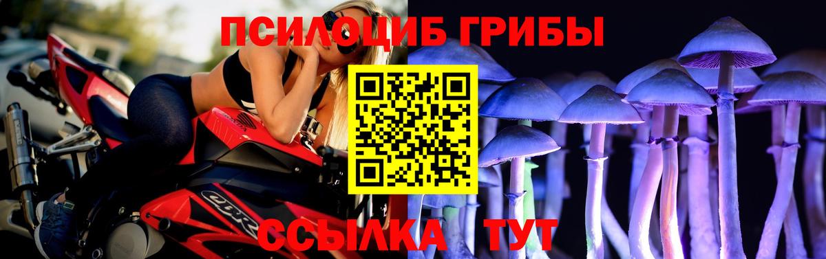 Краснодар  наркотики  Галлюциногенные грибы мухоморы  Вход с VPN  Галлюциногенные грибы GOLDEN TEACHER 